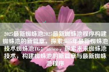 2025最新蜘蛛池2025最新蜘蛛池程序构建蜘蛛池的新篇章，探索2025年最新蜘蛛池技术蜘蛛池TG：zzcseo，探索未来蜘蛛池技术，构建蜘蛛池的新篇章与最新蜘蛛池程序