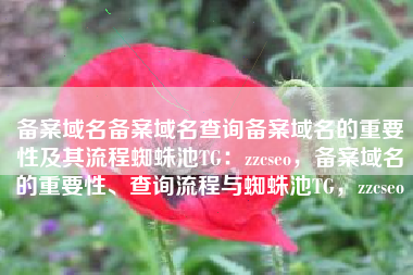 备案域名备案域名查询备案域名的重要性及其流程蜘蛛池TG：zzcseo，备案域名的重要性、查询流程与蜘蛛池TG，zzcseo