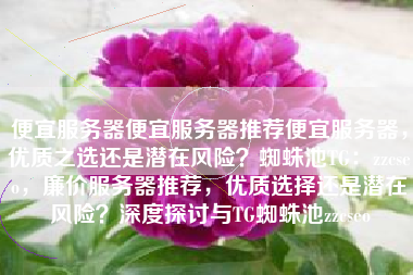 便宜服务器便宜服务器推荐便宜服务器，优质之选还是潜在风险？蜘蛛池TG：zzcseo，廉价服务器推荐，优质选择还是潜在风险？深度探讨与TG蜘蛛池zzcseo