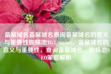 备案域名备案域名查询备案域名的意义与重要性蜘蛛池TG：zzcseo，备案域名的意义与重要性，查询备案域名，蜘蛛池SEO策略解析