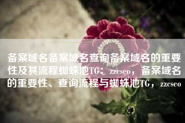 备案域名备案域名查询备案域名的重要性及其流程蜘蛛池TG：zzcseo，备案域名的重要性、查询流程与蜘蛛池TG，zzcseo