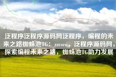泛程序泛程序源码网泛程序，编程的未来之路蜘蛛池TG：zzcseo，泛程序源码网，探索编程未来之路，蜘蛛池TG助力发展