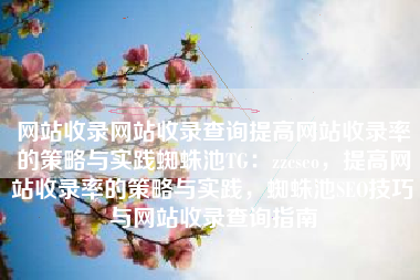 网站收录网站收录查询提高网站收录率的策略与实践蜘蛛池TG：zzcseo，提高网站收录率的策略与实践，蜘蛛池SEO技巧与网站收录查询指南