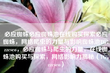 必应蜘蛛必应蜘蛛池在线购买探索必应蜘蛛，网络爬虫的力量与影响蜘蛛池TG：zzcseo，必应蜘蛛与爬虫的力量，在线蜘蛛池购买与探索，网络影响力揭秘（TG，zzcseo）
