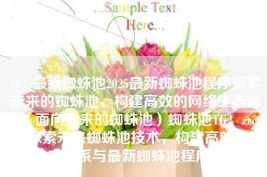 2025最新蜘蛛池2025最新蜘蛛池程序探索未来的蜘蛛池，构建高效的网络生态体系（面向未来的蜘蛛池）蜘蛛池TG：zzcseo，探索未来蜘蛛池技术，构建高效网络生态体系与最新蜘蛛池程序介绍