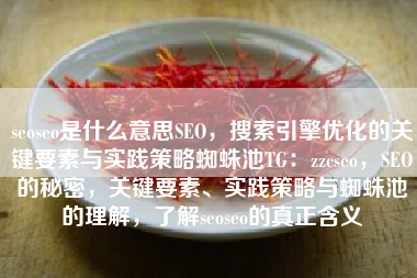 seoseo是什么意思SEO，搜索引擎优化的关键要素与实践策略蜘蛛池TG：zzcseo，SEO的秘密，关键要素、实践策略与蜘蛛池的理解，了解seoseo的真正含义