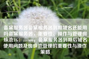 备案服务器备案服务器到期域名还能用吗备案服务器，重要性、操作与管理蜘蛛池TG：zzcseo，备案服务器到期后域名使用问题及蜘蛛池管理的重要性与操作策略